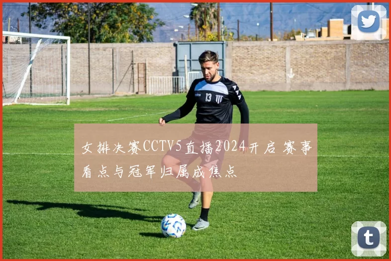 女排决赛CCTV5直播2024开启 赛事看点与冠军归属成焦点